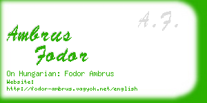 ambrus fodor business card